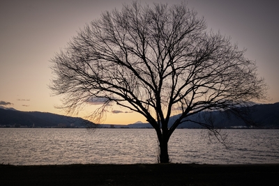 諏訪湖と朝日