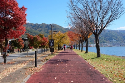 Lake Suwa, promenade and autumn leaves